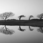 Reflection (Galway Bay Golf course)