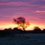 Galway sunrise (Sun It Rises)